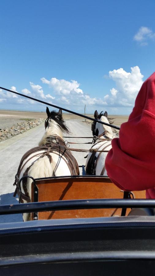 ホテル Les Chevaux De L'Hippocampe Mont-Dol エクステリア 写真