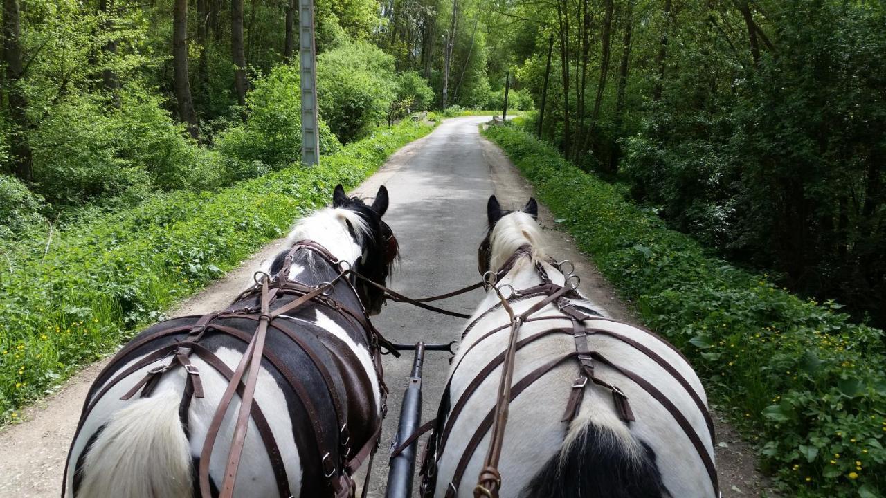 ホテル Les Chevaux De L'Hippocampe Mont-Dol エクステリア 写真